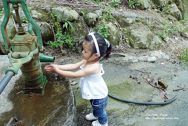 P1250527.JPG P1250527.JPG