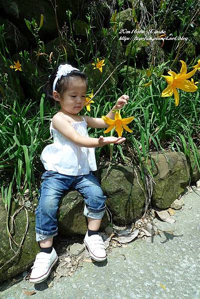 P1250532.JPG P1250532.JPG