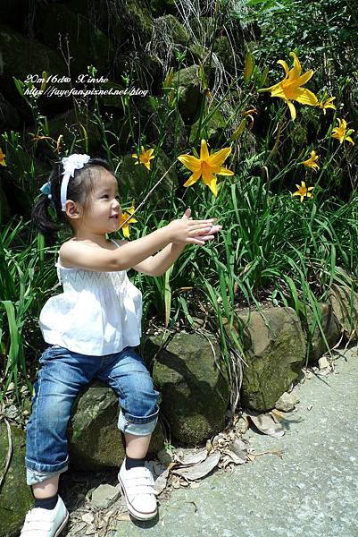 P1250534.JPG P1250534.JPG