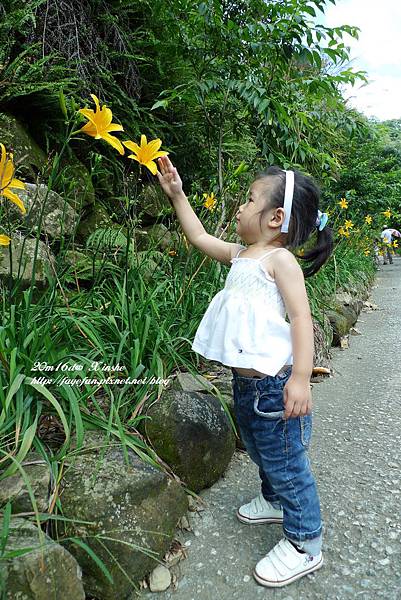 P1250548.JPG P1250548.JPG