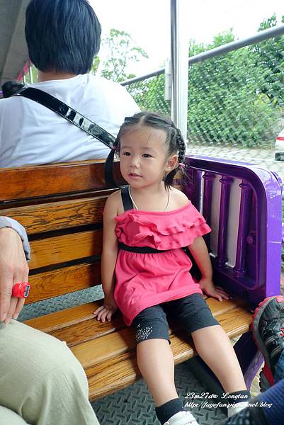 P1260881.JPG P1260881.JPG