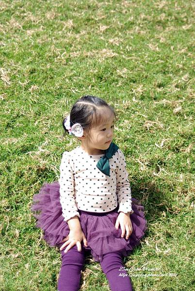 IMGP5717.JPG IMGP5717.JPG