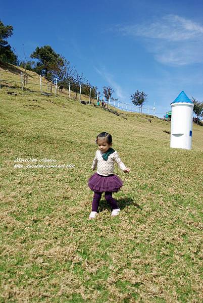 IMGP5725.JPG IMGP5725.JPG