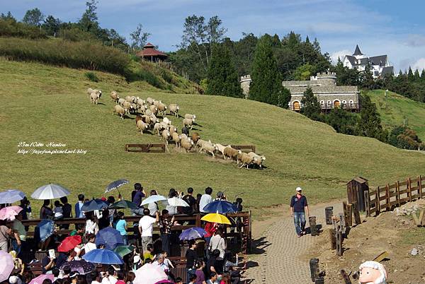 IMGP5766.JPG IMGP5766.JPG