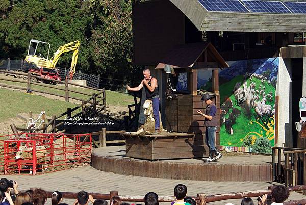 IMGP5769.JPG IMGP5769.JPG