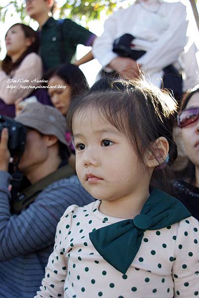 IMGP5773.JPG IMGP5773.JPG