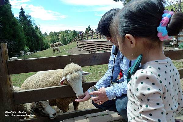 P1280029.JPG P1280029.JPG