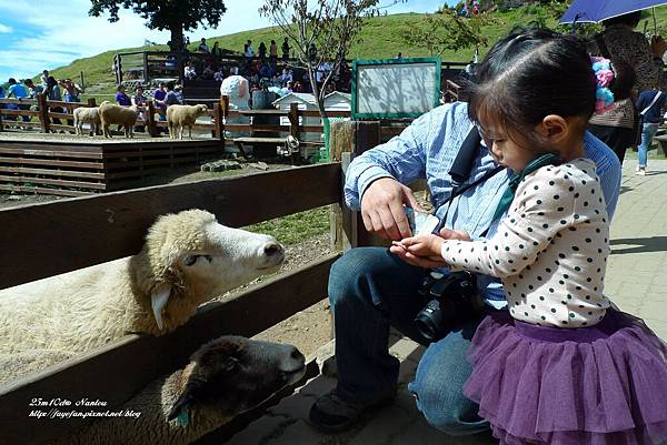 P1280033.JPG P1280033.JPG