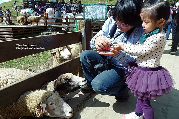 P1280035.JPG P1280035.JPG