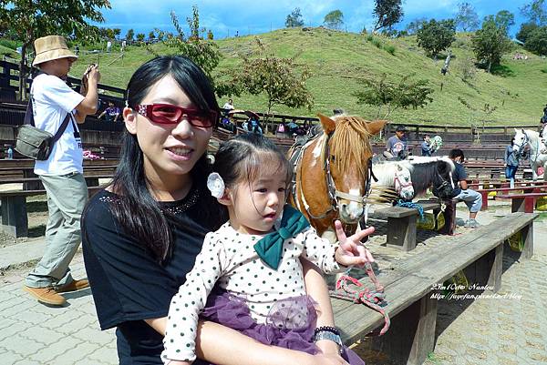 P1280043.JPG P1280043.JPG