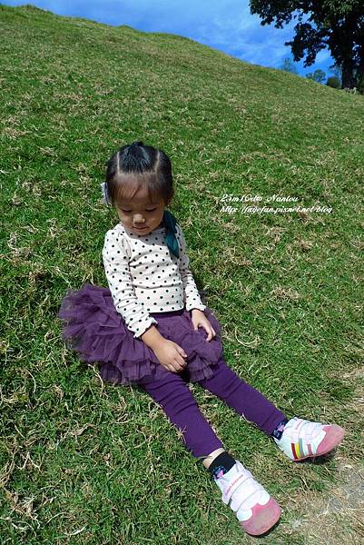 P1280046.JPG P1280046.JPG