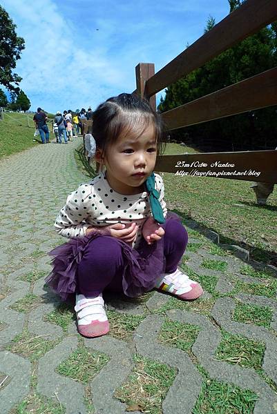 P1280053.JPG P1280053.JPG