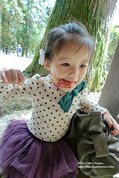 P1280059.JPG P1280059.JPG