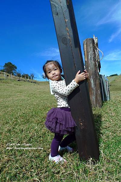 P1280114.JPG P1280114.JPG