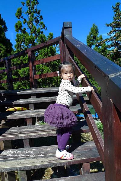 P1280123.JPG P1280123.JPG