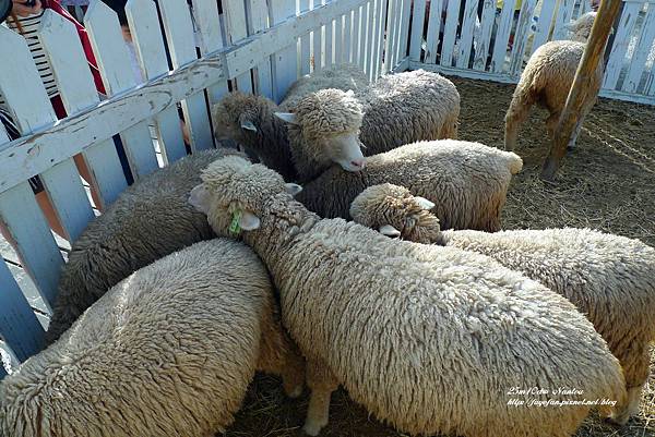 P1280127.JPG P1280127.JPG