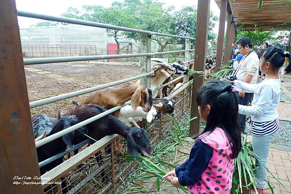 P1280598.JPG P1280598.JPG