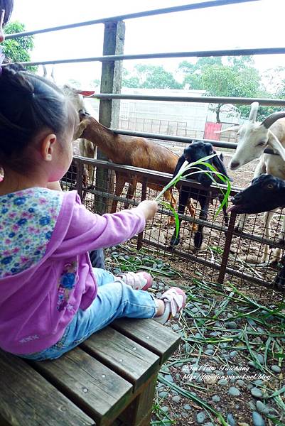 P1280604.JPG P1280604.JPG