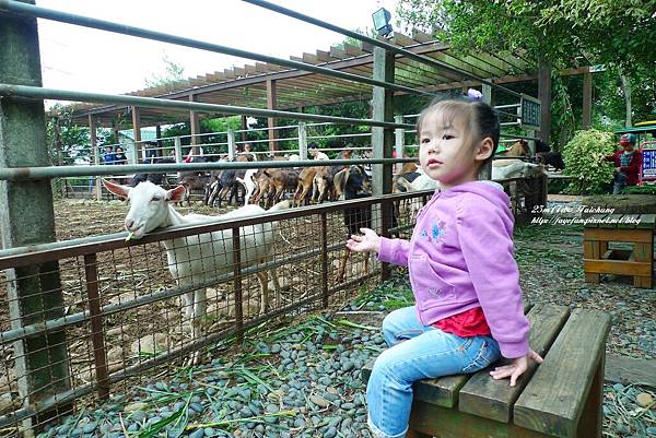 P1280652.JPG P1280652.JPG