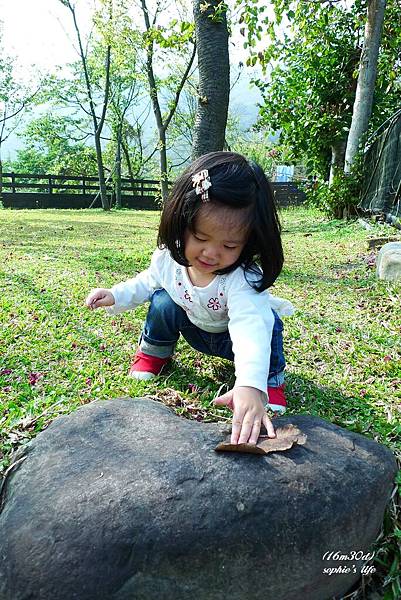 P1180928.JPG P1180928.JPG