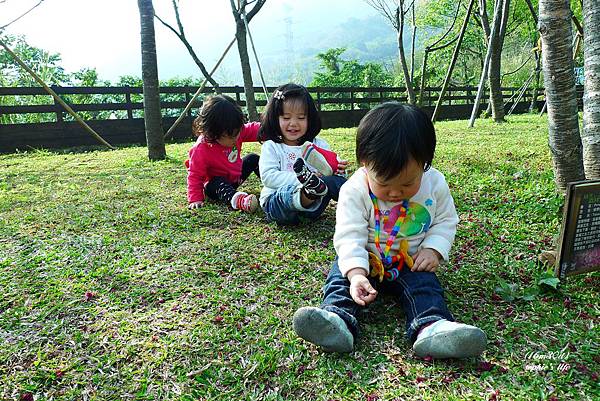 P1180952.JPG P1180952.JPG