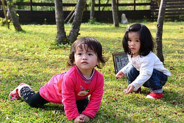 untitled7.bmp untitled7.bmp