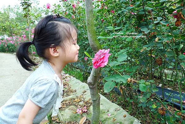 P1220502.JPG P1220502.JPG