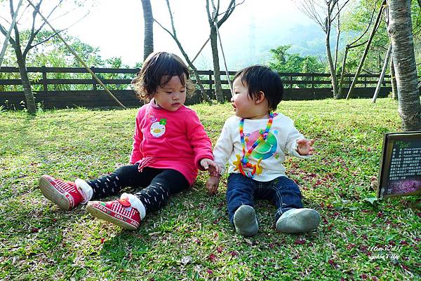 P1180955.JPG P1180955.JPG