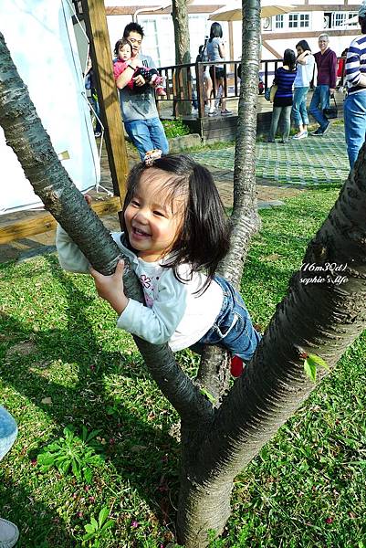 P1180963.JPG P1180963.JPG