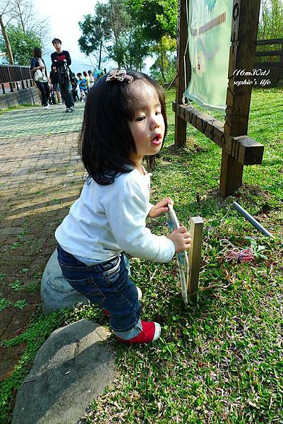 P1180961.JPG P1180961.JPG