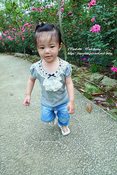 P1220498.JPG P1220498.JPG