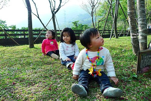 P1180949.JPG P1180949.JPG