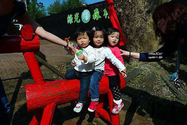 P1180919.JPG P1180919.JPG