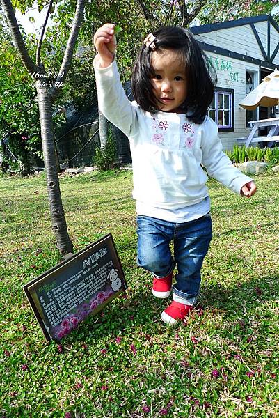 P1180933.JPG P1180933.JPG