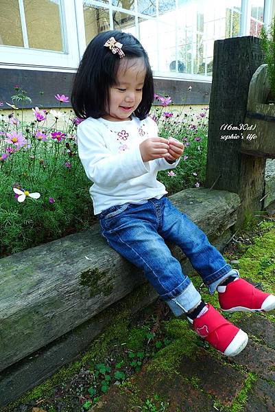 P1180912.JPG P1180912.JPG