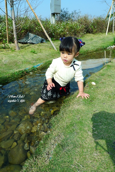 P1180162.JPG P1180162.JPG