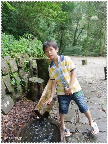 內洞森林遊樂區,內洞森林遊樂區美食,烏來內洞森林遊樂區,烏來美食