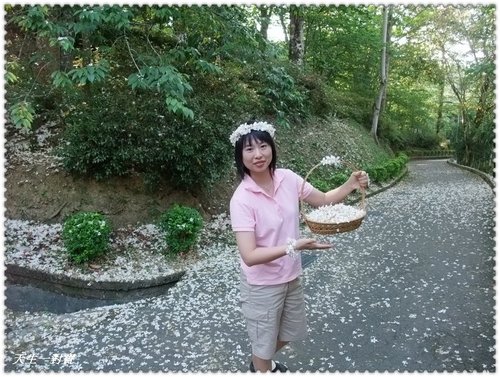 東勢林場遊樂區