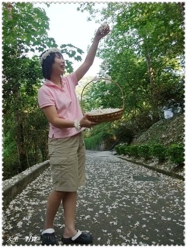 東勢林場遊樂區 東勢林場遊樂區