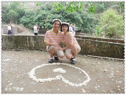 挑水古道,挑水古道桐花