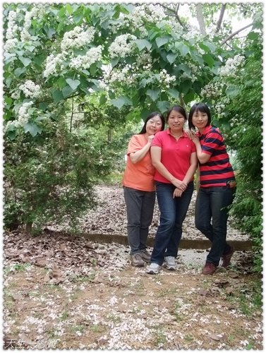 挑水古道,挑水古道一日遊 挑水古道,挑水古道一日遊