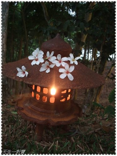 挑水古道,挑水古道一日遊 挑水古道,挑水古道一日遊