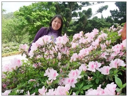 芋你漫遊竹子湖 @天生寶家族 @天生寶家族