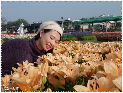 中社花市拍拍樂 @天生寶家族 @天生寶家族