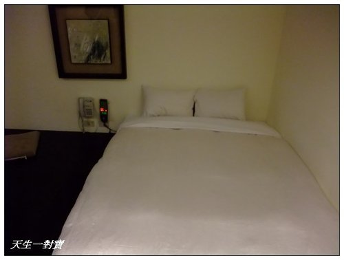  @天生寶家族