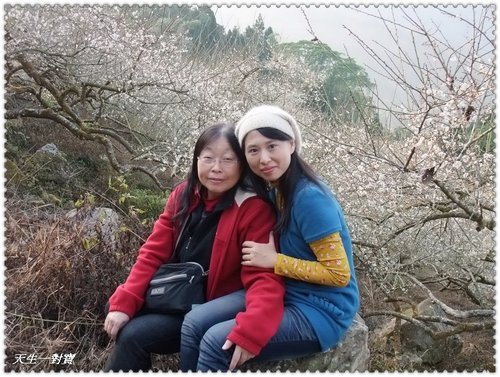 梅花下歡樂氣氛 @天生寶家族  @天生寶家族