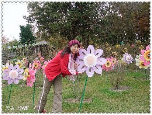 住宿,國民賓館,場地,小瑞士,平價,景點,櫻花,民宿,清境,美食,老英格蘭,花況,費用,電話,露營