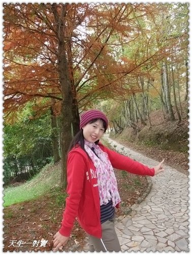 清境小瑞士-幸福落羽松步道 @天生寶家族 @天生寶家族