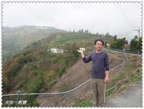 清境蕓蘆,清境蕓蘆景觀渡假山莊