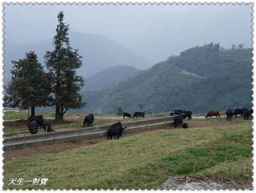 清境蕓蘆,清境蕓蘆景觀渡假山莊